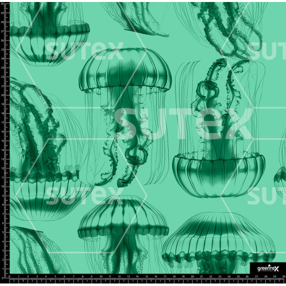 385498 AR MEDUSAS TENUES P2 AR