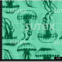 385498 AR MEDUSAS TENUES P2 AR