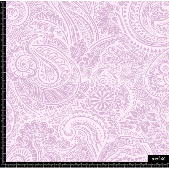 385564 PAISLEYS DELINIADOS AR