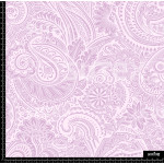 385564 PAISLEYS DELINIADOS AR