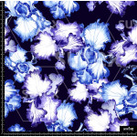 384911 BB ORCHID ARTISTIC1 B