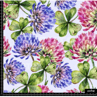 384912 BB LA PRADERA COLOR 1 B