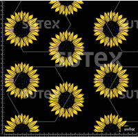 385998 BB GIRAGIRA SOL 1 B