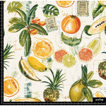 386844 SAI GARDENS FRUITS SAI B