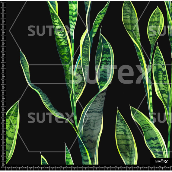 388573 SAI EXOTICA 2 SAI B