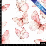 389724 SAI BB MARIPOSARIO SAI B
