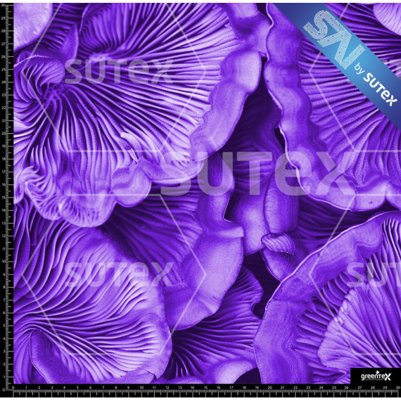 390113 SAI MUSHROOM TEXTURE SAI B