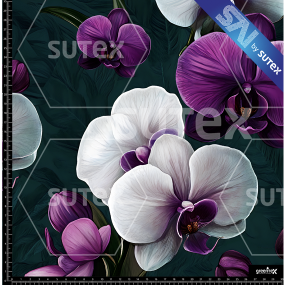 391848 ORQUIDEA B SAI FS