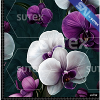 391848 ORQUIDEA B SAI FS