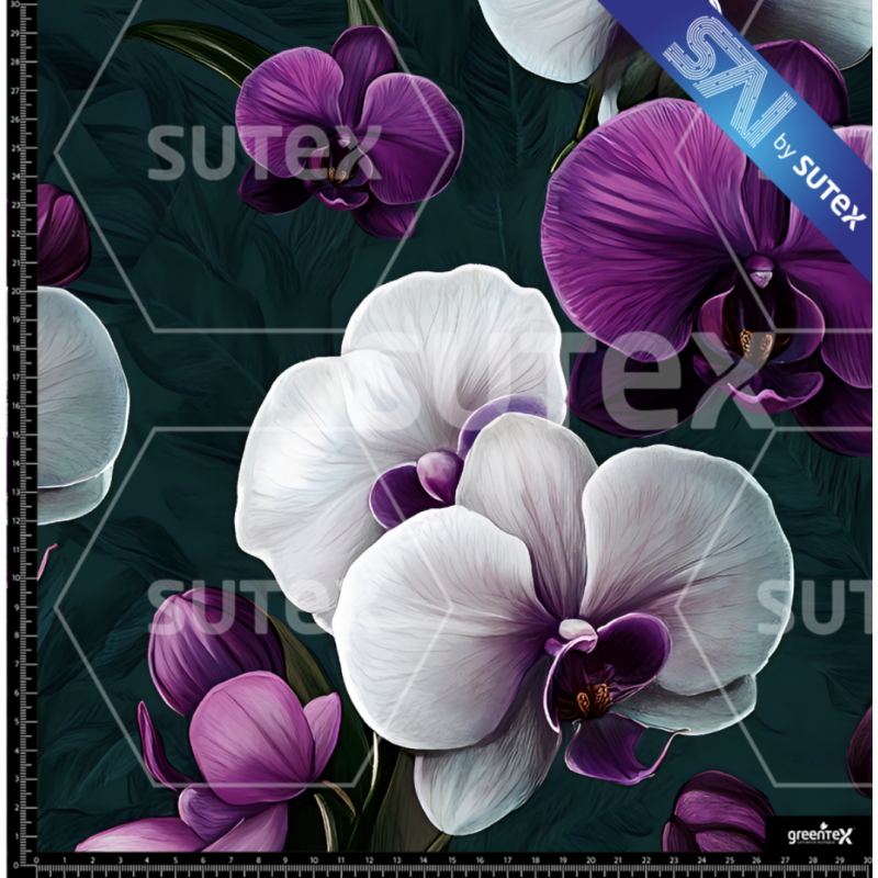 391848 ORQUIDEA B SAI FS