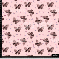 386850 AR MARIPOSAS DESTELLAR P2 AR