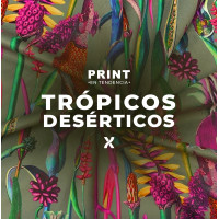 COLECCION TROPICOS DESERTICOS