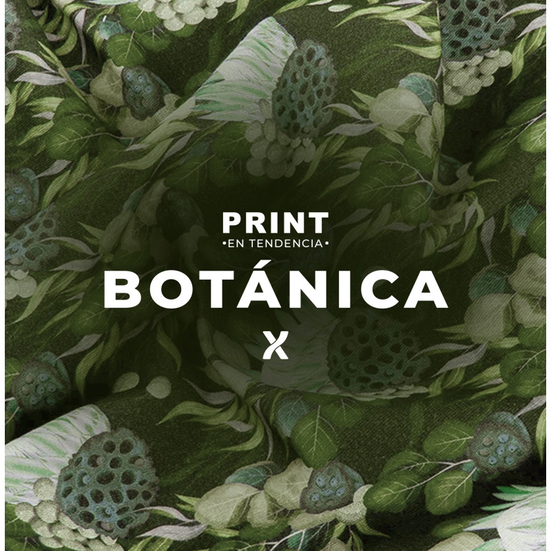 COLECCION BOTANICA