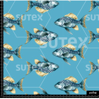 391810 AR EXC TENNIS PECES ILUSTR P2 AR