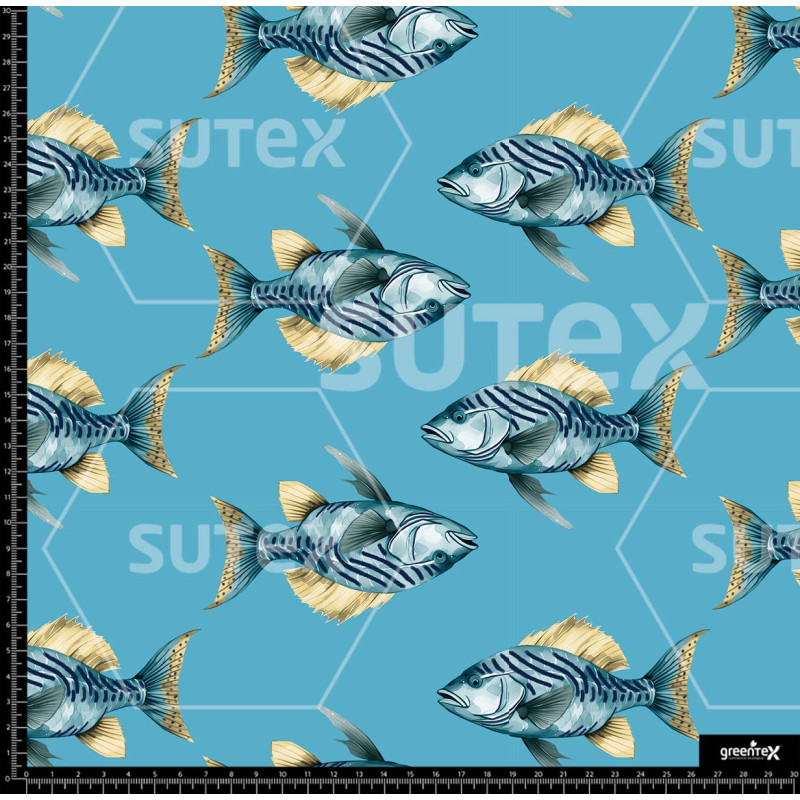 391810 AR EXC TENNIS PECES ILUSTR P2 AR