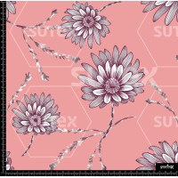 391834 FLOR ESPINA P2 AR