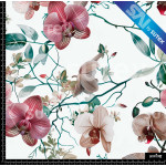 392212 SAI ORCHID COLORMOD2 SAI AR