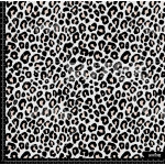 394977 AR ANIMAL PRINT PLE AR