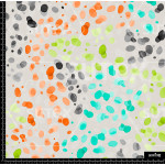 392603 BB STONES DESIGN 1 B