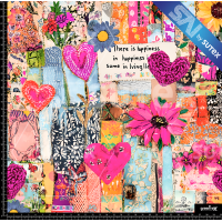 397476 COLLAGE A2 SAI FS