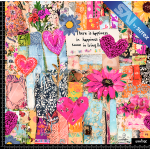 397476 COLLAGE A2 SAI FS