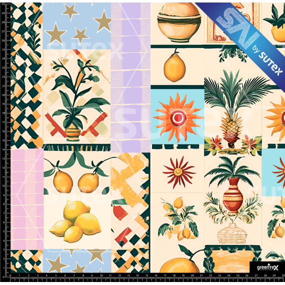 397089 COLLAGE A2 SAI FS