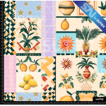 397089 COLLAGE A2 SAI FS