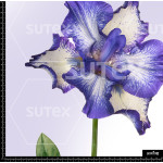 397647 BB MAXI FLORES 1 B