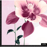 397648 BB MAXI FLORES 2 B