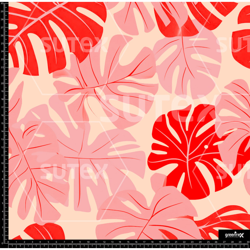 397119 SAI MONSTERA COLOR 1 SAI B