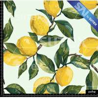 391285 LEMONS FRUIT 2 SAI B