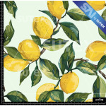 391285 LEMONS FRUIT 2 SAI B