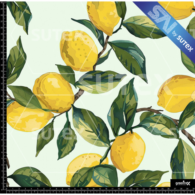 391285 LEMONS FRUIT 2 SAI B