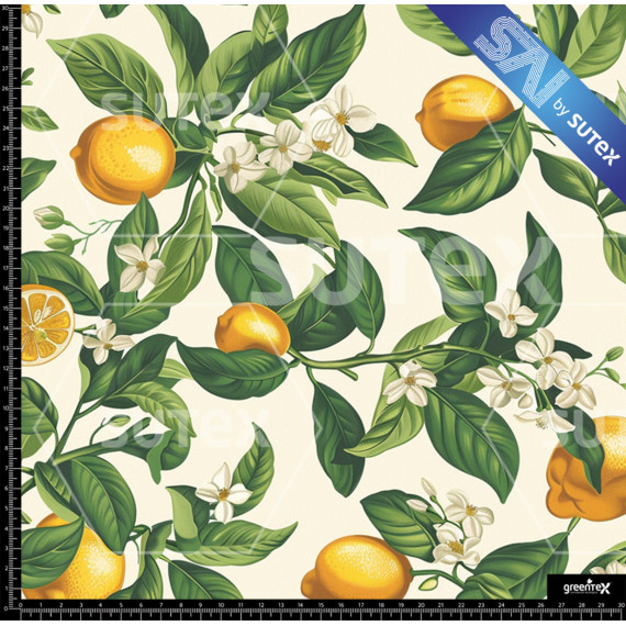 391286 LEMONS FRUIT 1 SAI B