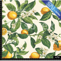 391286 LEMONS FRUIT 1 SAI B