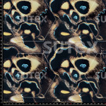 399196 EXCG SUTEX MARIPOSA PRINT JR