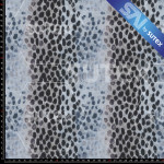 399135 ANIMAL DOTS AZUL JR