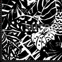 411120 BOTANICAL 2 BW LB