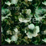 415183 NATURALEZA A1 FS
