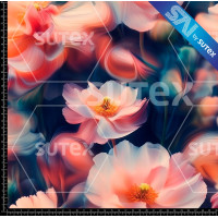 415246 FLORES DISTORCION TOL P2 SAI AR