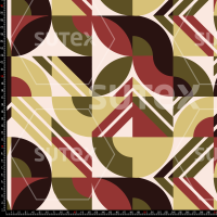 421455 GEOMERETRO3 FS