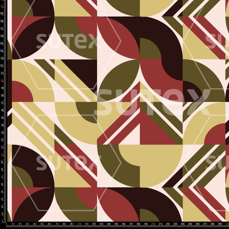 421455 GEOMERETRO3 FS