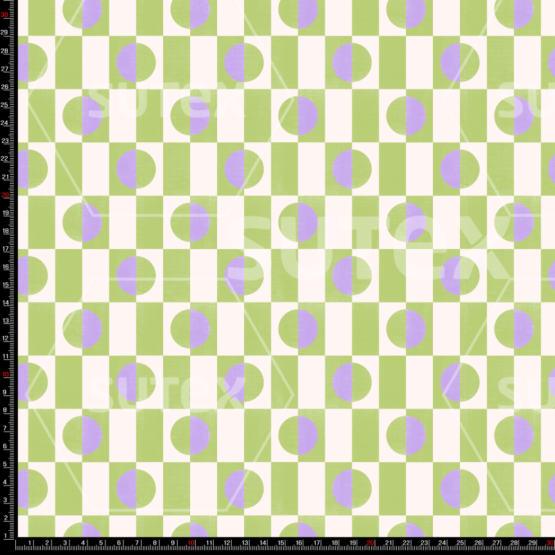421457 GEOMERETRO4 FS