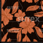 421527 GEOMERETRO2 FS