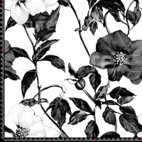 424982 NOIR FLOWERS SAI DM