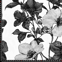 424984 NOIR FLOWERS 2 SAI DM
