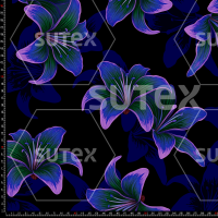424488 DARKFLOWER8 FS