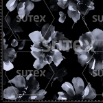 424474 DARKFLOWER3 FS
