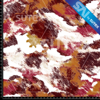 424508 ABSTRALINE5 FS SAI