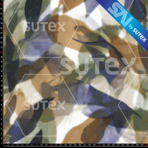 424536 FLORENCIA TRASL SAI AR